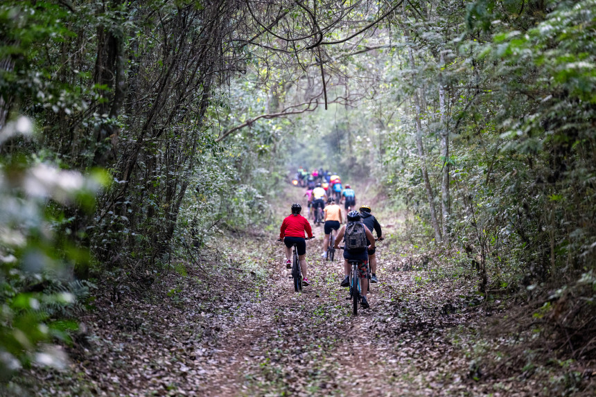 Itaipú celebra 42 años de áreas protegidas y refuerza su compromiso con la biodiversidad